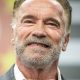 Arnold Schwarzenegger afbulletin