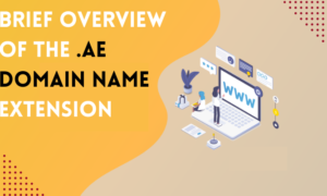 Brief Overview of the .ae domain Name Extension