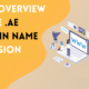 Brief Overview of the .ae domain Name Extension